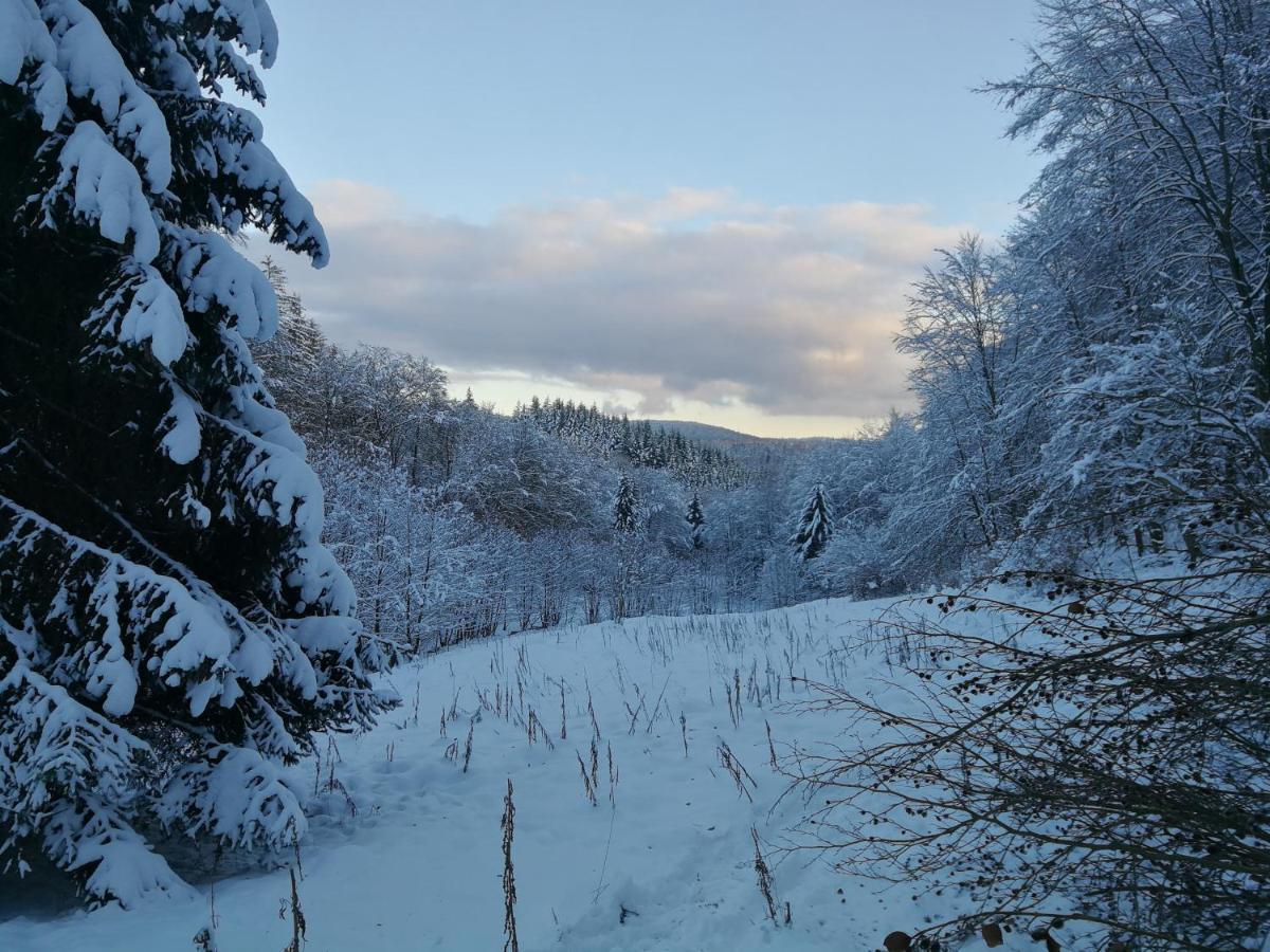 Taunusblick-Meissner Schmitten Exterior foto